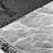 Carsie Mains, oblique aerial view, taken from the WNW, showing the cropmarks of a series of pit features including a pit-circle, mortuary enclosure and pit-alignment.
