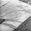 Carsie Mains, oblique aerial view, taken from the SE, centred on a complex of cropmarks including pit features, ring-ditches and linear cropmarks.