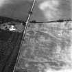 Myreside, oblique aerial view, taken from the ENE, showing cropmarks, including those of a ring ditch and a possible pit-defined enclosure, in the centre. A linear cropmark runs from the centre to the bottom edge of the photograph.