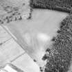 Oblique aerial view centred on linear cropmarks, taken from the NW.