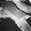 Oblique aerial view centred on cropmarks of the cursus with other cropmarks adjacent.