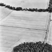 Oblique aerial view centred on cropmarks of the cursus, taken from the NNW.
