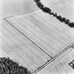Oblique aerial view centred on cropmarks of the cursus, taken from the WNW.
