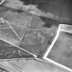Oblique aerial view.