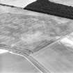 Oblique aerial view centred on the cropmarks of the enclosure with rig adjacent, taken from the S.