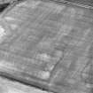 Oblique aerial view centred on cropmarks of a ring-ditch and rig, taken from the SW.