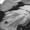 Mugdrum, oblique aerial view, taken from the NE, centred on an area defined as a cropmark complex.
