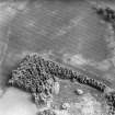 Kinloch, oblique aerial view, taken from the NNW, centred on the cropmarks of an unenclosed settlement and cultivation remains.