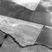 Oblique aerial photograph of Reedieleys centred on cropmarks, including cultivation remains and rig, taken from the S.