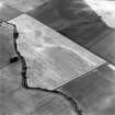 Oblique aerial photograph of Reedieleys centred on cropmarks, including cultivation remains and rig, taken from the SE.