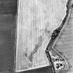 Oblique aerial photograph of Reedieleys centred on cropmarks, including cultivation remains and rig, taken from the W.