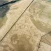 Oblique aerial view centred on the cropmarks of the pit-defined cursus, pits and rig, with pits, rig, ring-ditch and possible quarry adjacent, taken from the ENE.