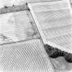 Mains of Errol, oblique aerial view, taken from the NE, centred on cropmarks including those of unenclosed settlement traces.