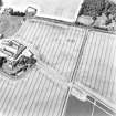 Mains of Errol, oblique aerial view, taken from the SE, centred on the cropmarks of a round-house and possible round-house.