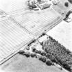 Mains of Errol, oblique aerial view, taken from the NNE, centred on the cropmarks of a round-house and possible round-house.