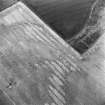Oblique aerial photograph of Glencarse centred on the cropmarks of a possible souterrain and a pit, taken from the W.