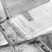 Oblique aerial view centred on the cropmarks of the souterrains, pits and rig, taken from the ENE.