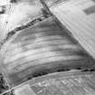 Oblique aerial view centred on the cropmarks of the unenclosed settlements, souterrains and ring-ditches, taken from the NW.