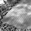 Rossie and Falcon Stone, oblique aerial view, taken from the SE, centred on the cropmarks of a ring-ditch. A barrow cemetery is visible in the top right-hand corner of the photograph.