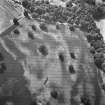 Oblique aerial view of Rossie priory centred on linear cropmarks and the cropmarks of pits.