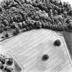 Rossie, oblique aerial view, taken from the NW, centred on cropmarks including a trackway and enclosure.