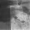 Grangemount, oblique aerial view, taken from the NNW, showing the cropmarks of an unenclosed settlement and souterrains in the centre of the photograph.
