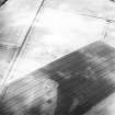 Grangemount, oblique aerial view, taken from the E, centred on the cropmarks of an unenclosed settlement including interrupted ring-ditches.