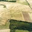 Oblique aerial view centred on the cropmarks of the pit-defined enclosure with the cropmarks of the barrow and pits, adjacent, taken from the NW.