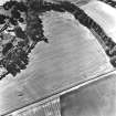 Cardean, oblique aerial view, taken from the E, showing the cropmarks of a Roman fort in the centre, and a possible pit-alignment towards the top edge of the photograph.