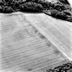 Cardean, oblique aerial view, taken from the NNW, centred on faint cropmarks of the Roman Fort.
