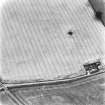 Huntly Burn, oblique aerial view, taken from the NNE, centred on the cropmarks of an enclosure and a ring-ditch.