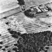 Mains of Glamis, oblique aerial view, taken from the WNW, showing a pair of linear cropmarks in the centre of the photograph.