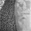 Muir House, oblique aerial view, taken from the S, showing a series of cropmarks including those of rig in the right half of the photograph.