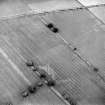 Oblique aerial view of Balkeerie centred on the cropmarks of a possible mortuary enclosure, taken from the SSE.