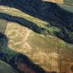 Oblique aerial view centred on the cropmarks of the unenclosed settlements, souterrains and, pits with the standing stone adjacent, taken from the N.