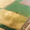 Oblique aerial view centred on the cropmarks of the possible barrow, taken from the NNE.

