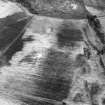 Mount Pleasant, oblique aerial view, taken from the W, of cropmarks of cultivation remains, with a farmstead to the right of the photograph.