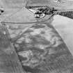 Cowbakie Hill, oblique aerial view, taken from the S, centred on the cropmarks of cultivation remains, pits, a souterrain and a possible sunken floored house with Forgan Church at the top of the photograph.