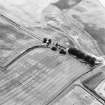 Oblique aerial view of Kirktonbarns cropmark complex, taken from the NW.