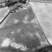 Pusk Wood, oblique aerial view, taken from the NE, centred on cropmarks of cultivation remains,  with a possible souterrain and possible sunken floored house to the bottom of the photograph.