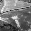 Pusk Wood, oblique aerial view, taken from the NNE, centred on cropmarks of cultivation remains,  with a possible souterrain and possible sunken floored house to the bottom of the photograph.