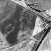Hawkhill, oblique aerial view, taken from the ESE, centred on the cropmarks of an unenclosed settlement.