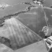 Oblique aerial view of cropmarks of rig, taken from the WNW.