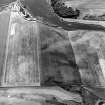 Oblique aerial view of cropmark complex, taken from the N.