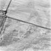 Battledykes, oblique aerial view, taken from the ENE, centred on the cropmarks of an enclosure.