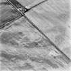 Battledykes, oblique aerial view, taken from the NE, centred on the cropmarks of an enclosure.