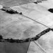 Oblique aerial view centred on the cropmarks of the Roman temporary camp, taken from the WNW.