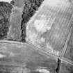 Aerial view of cropmark complex.