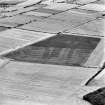 Oblique aerial view centred on the linear cromarks, taken from the NE.