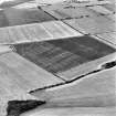 Oblique aerial view centred on the linear cropmarks with rig adjacent, taken from the N.